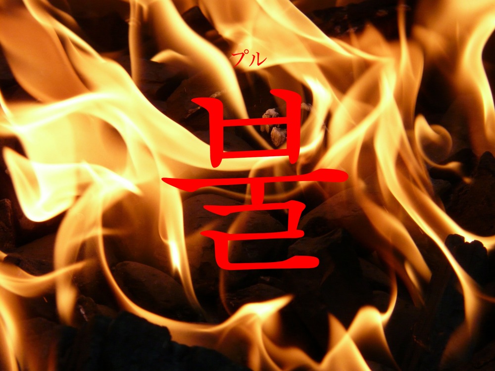 korean-fire-bul