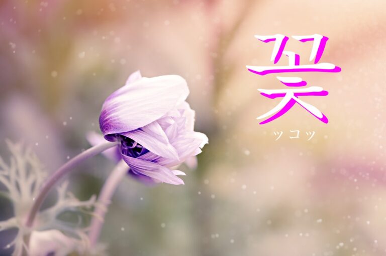 korean-flower-kkoch
