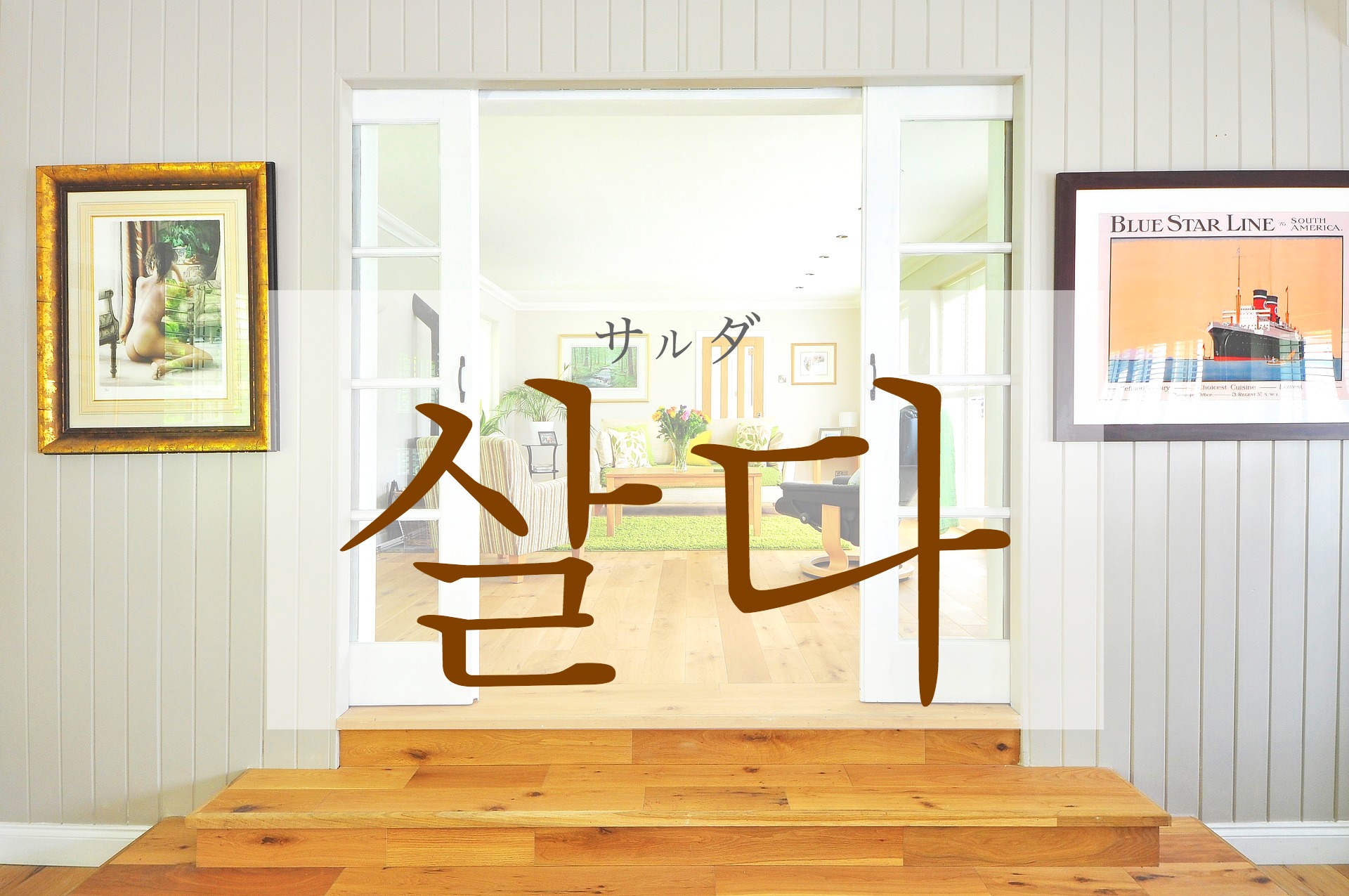 korean-live-salda