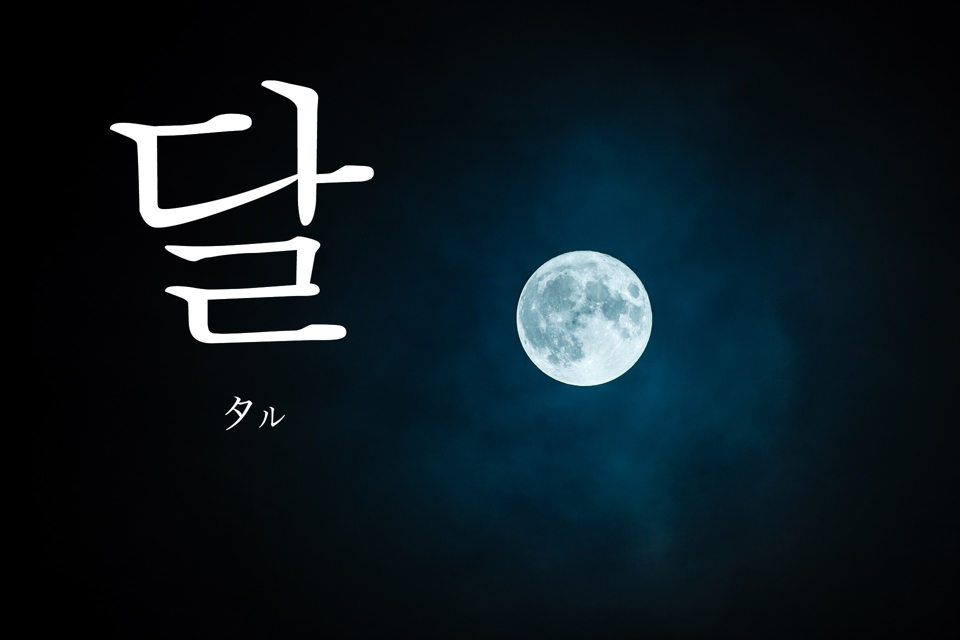 korean-moon-dal
