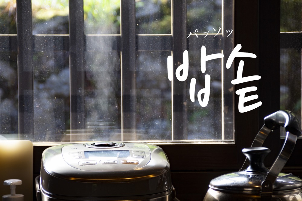korean-rice-cooker-babsot