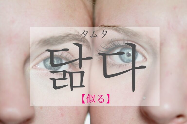 koreanword-similar