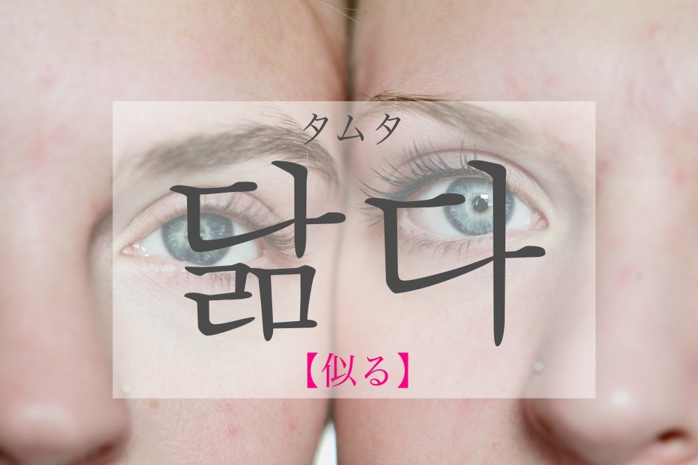 koreanword-similar