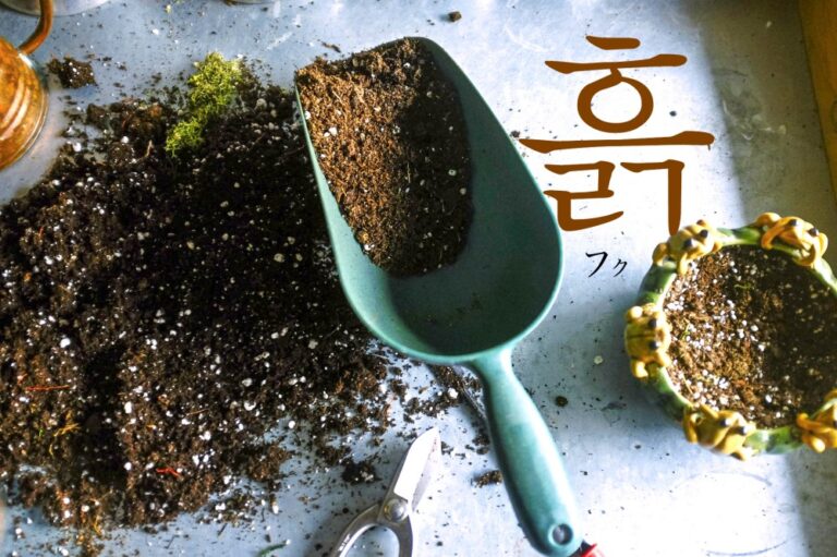 korean-soil-heulg