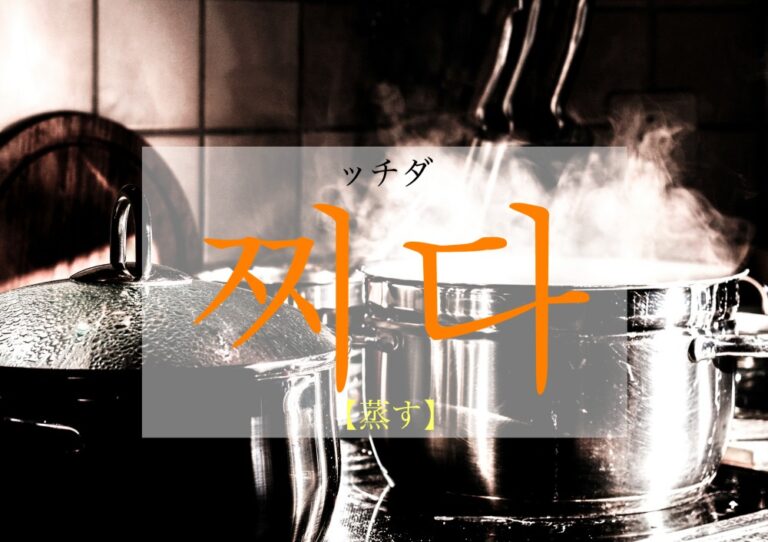 korean-steam-jjida