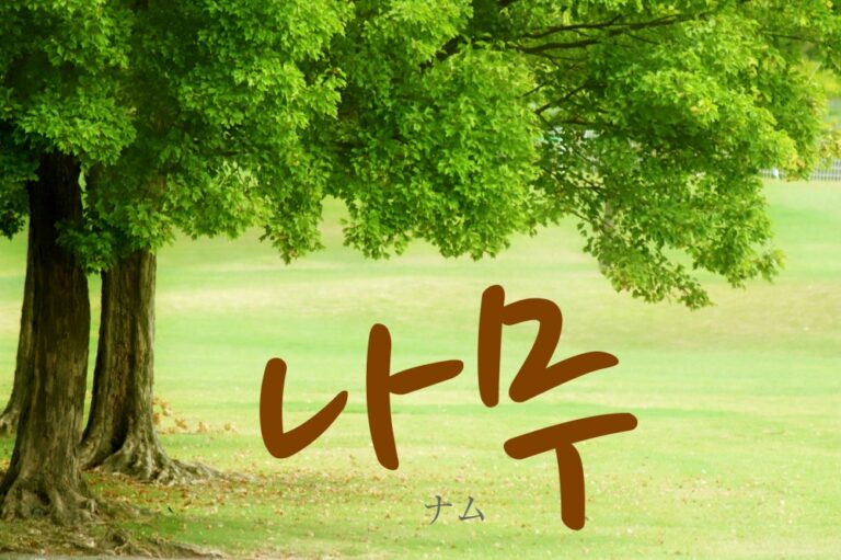 korean-tree-namu