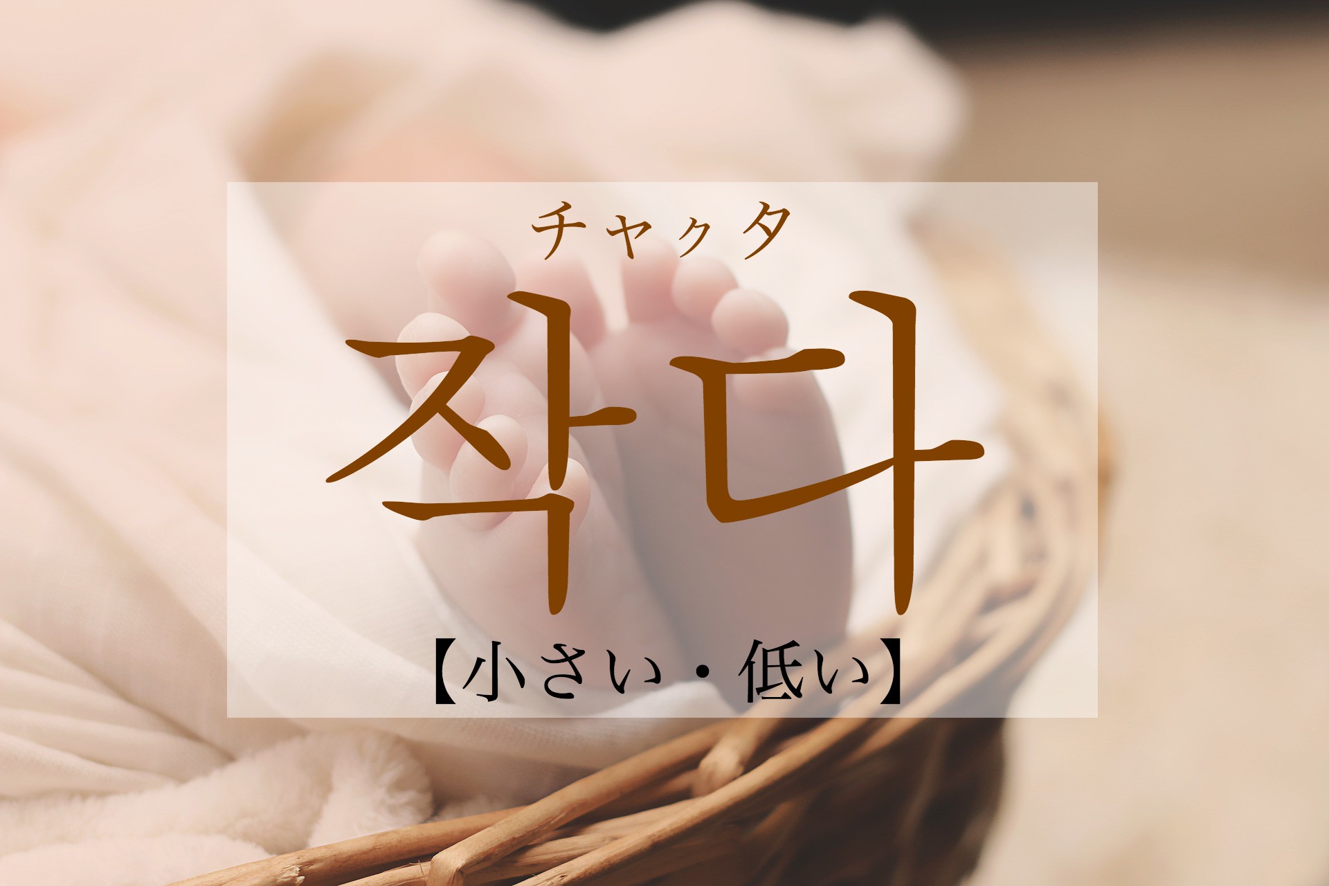 korean-small-jagda