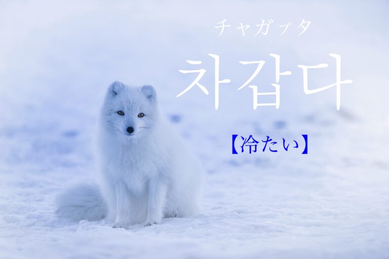 korean-cold-chagabda