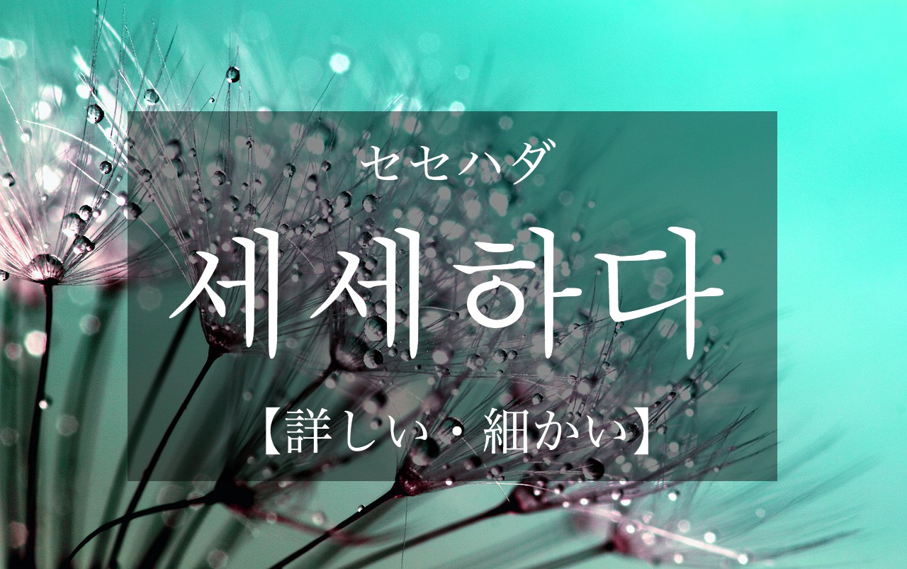korean-detailed-sesehada