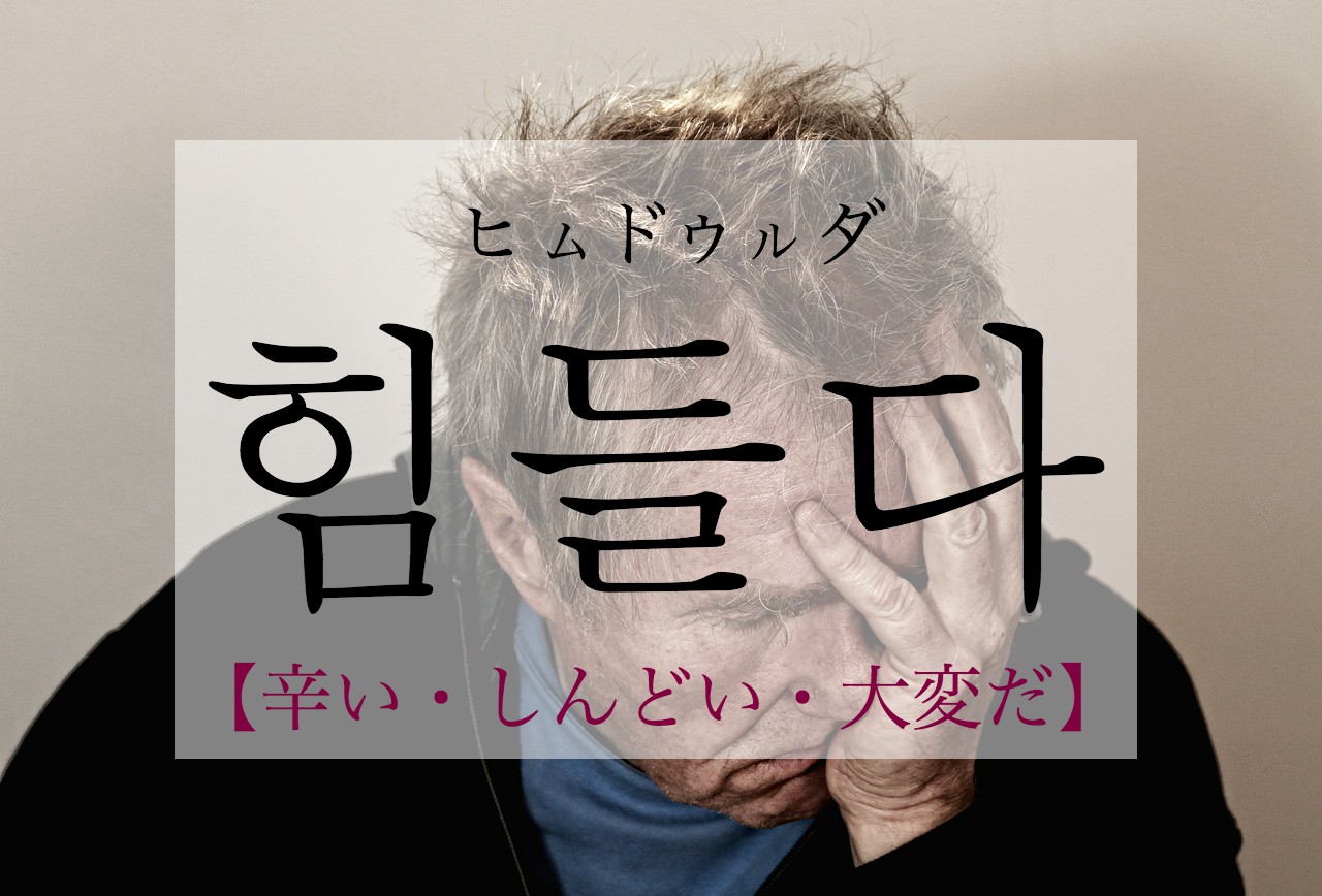 korean-it's-tough-himdeulda