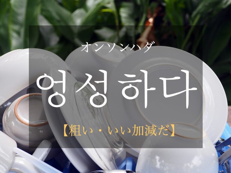 korean-sloppy-eongseonghada