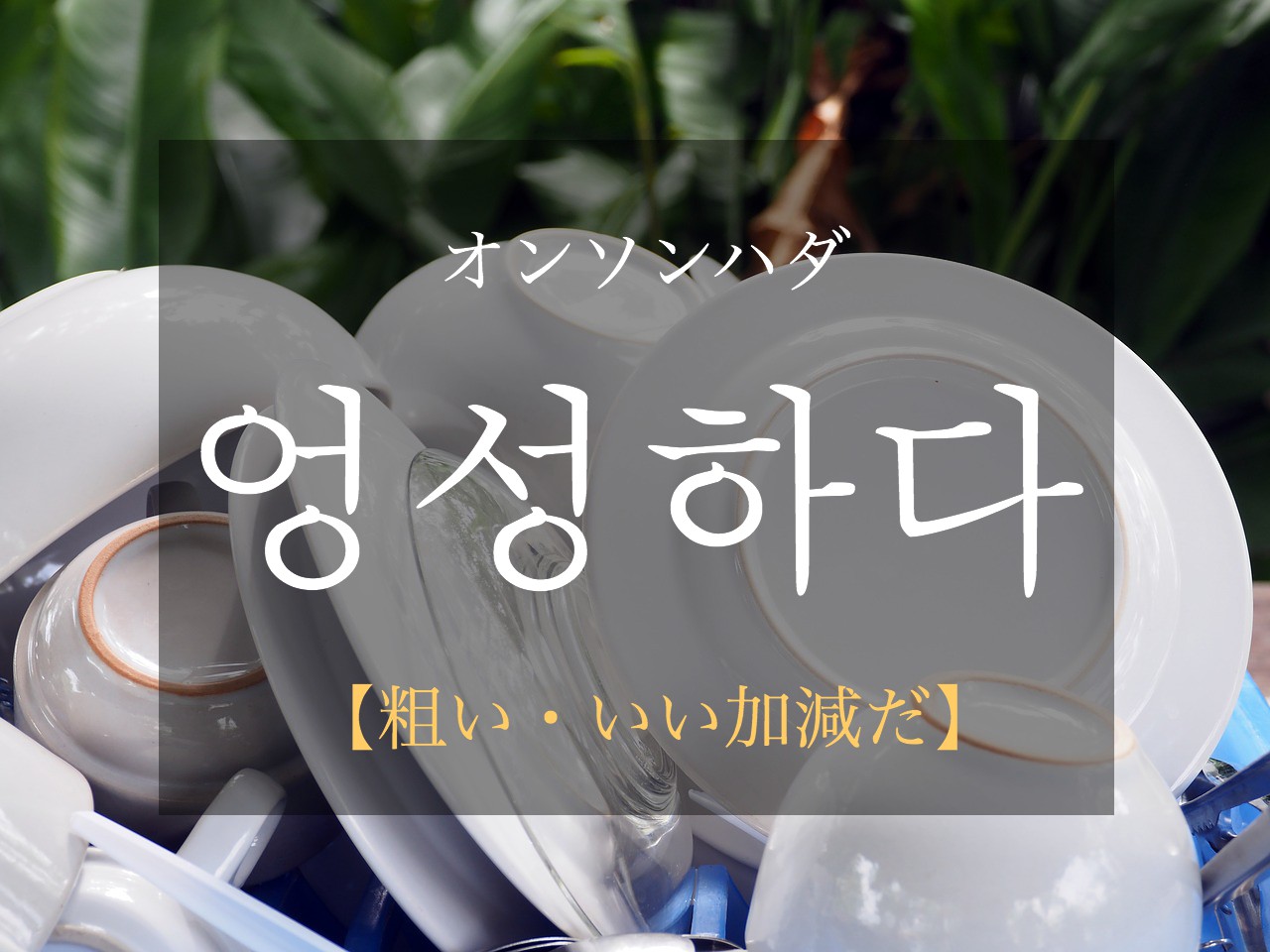 korean-sloppy-eongseonghada