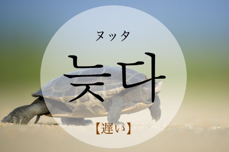 korean-late-neujda