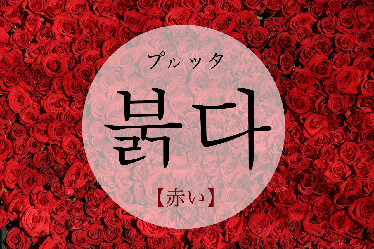 korean-red-bulgda