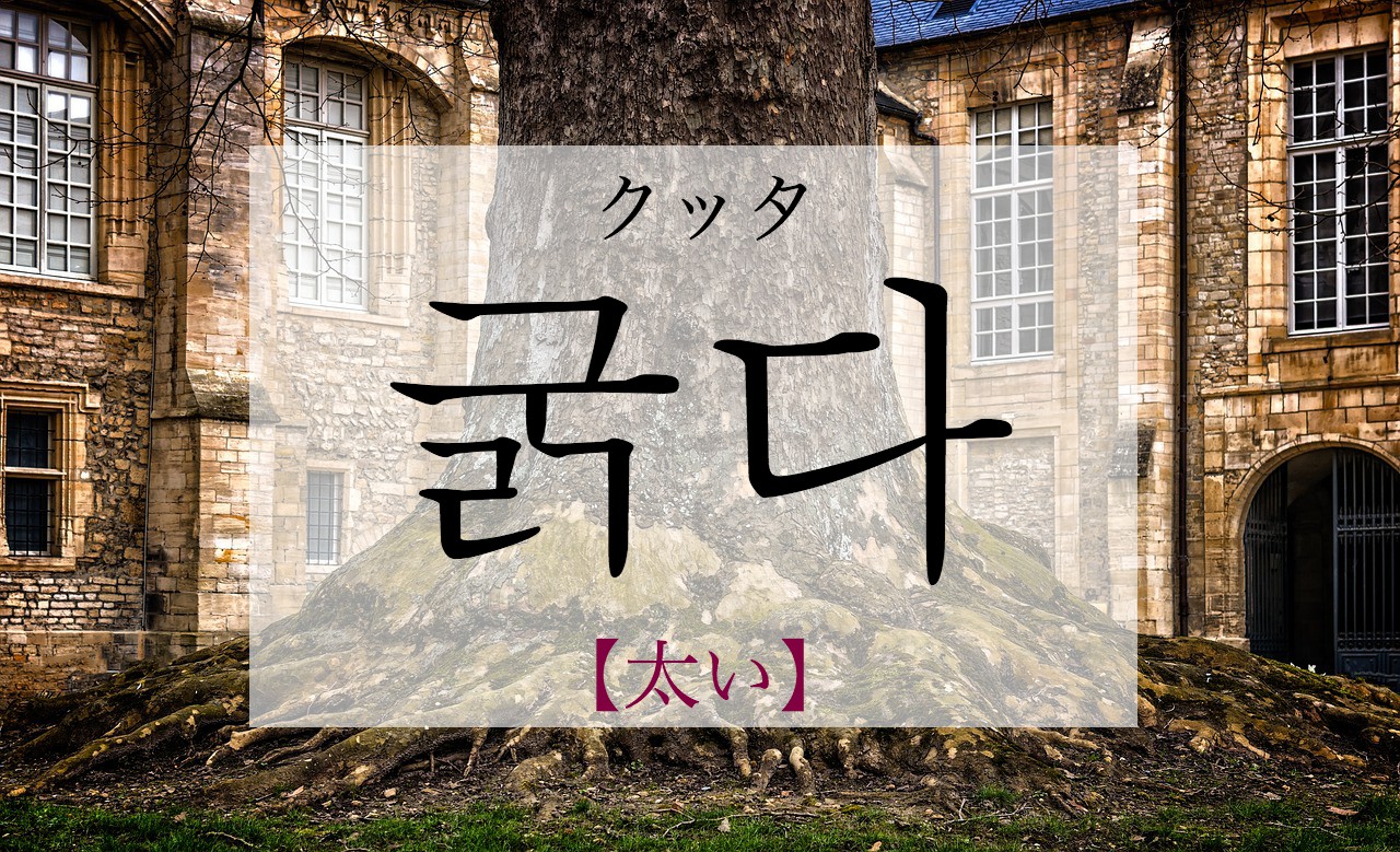 korean-thick-gulgda