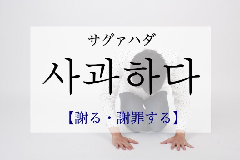 korean-apologize-sagwahada