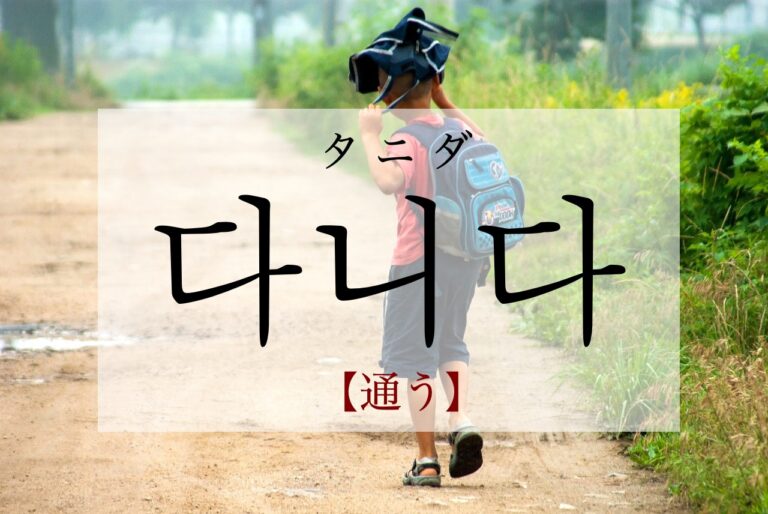 korean-attend-danida