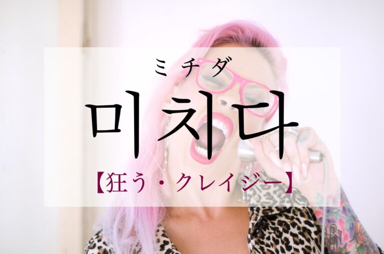 korean-crazy-michida