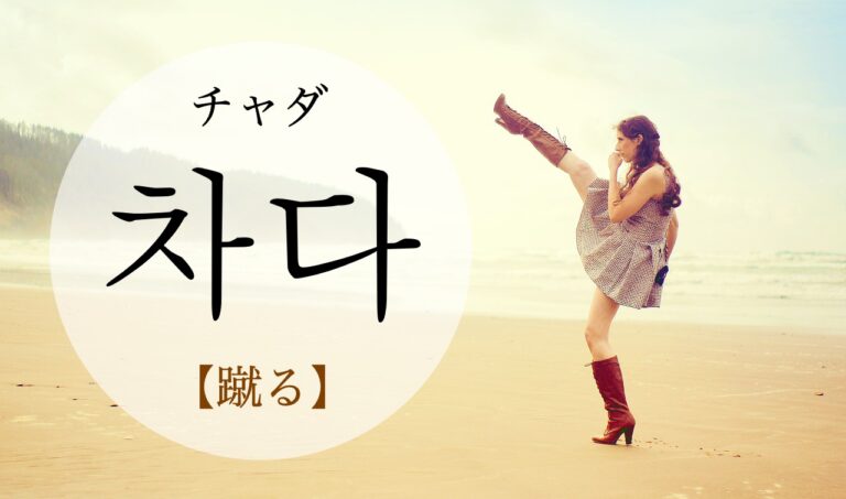 korean-kick-chada