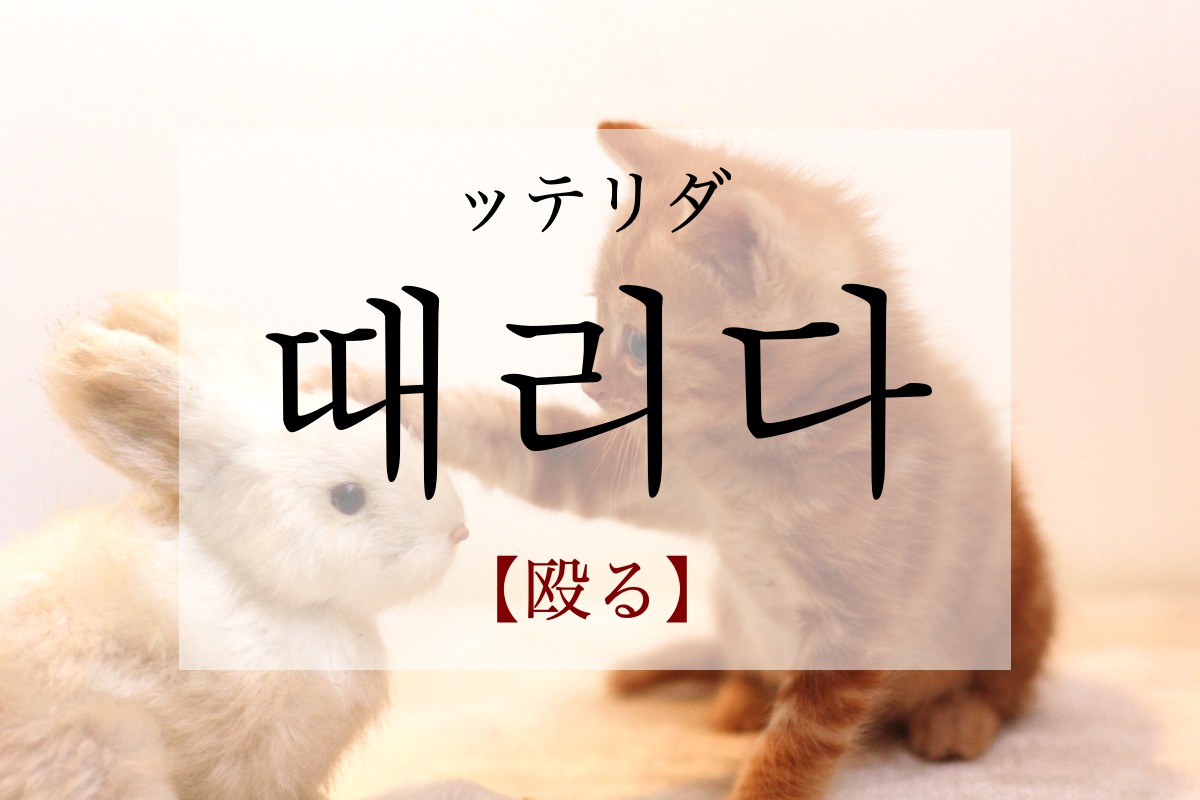 korean-hit-ttaelida