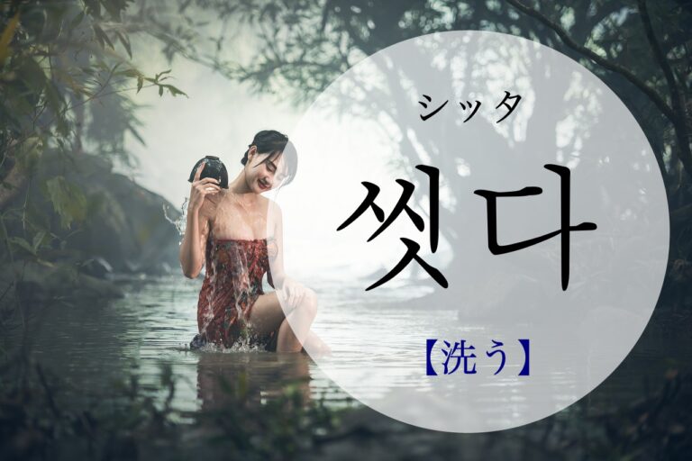 korean-wash-ssisda