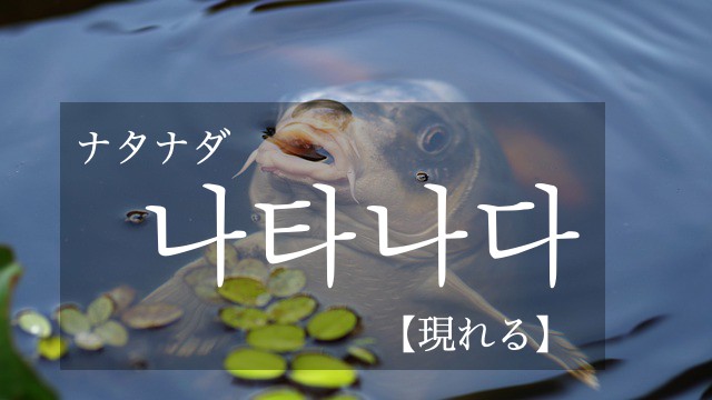 korean-appear-natanada