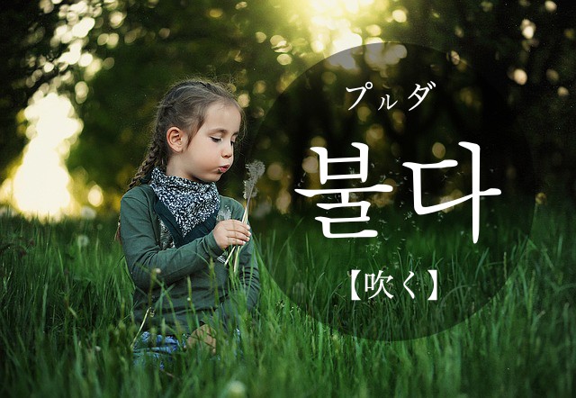 korean-blow-bulda