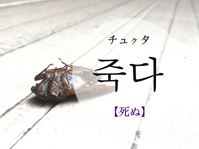 korean-die-jugda
