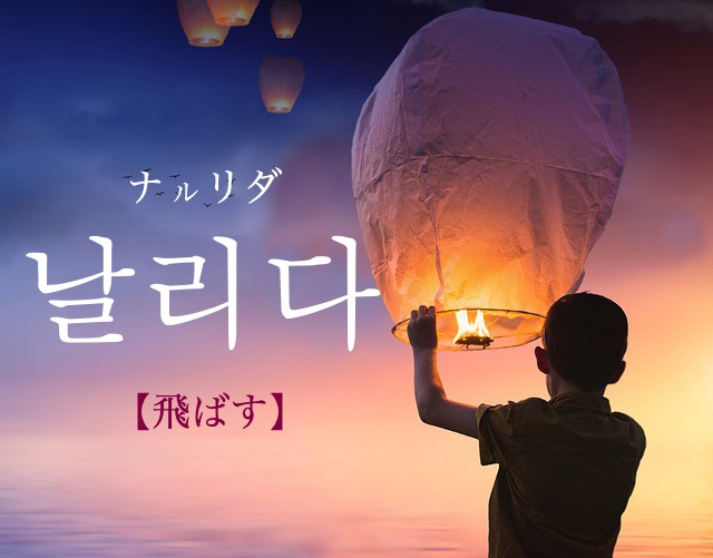 korean-fly-nallida