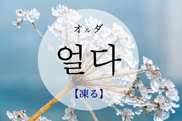 korean-freeze-eolda
