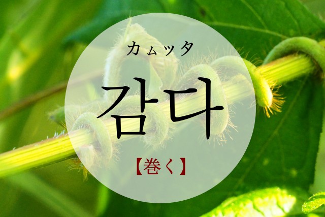 korean-roll-gamda