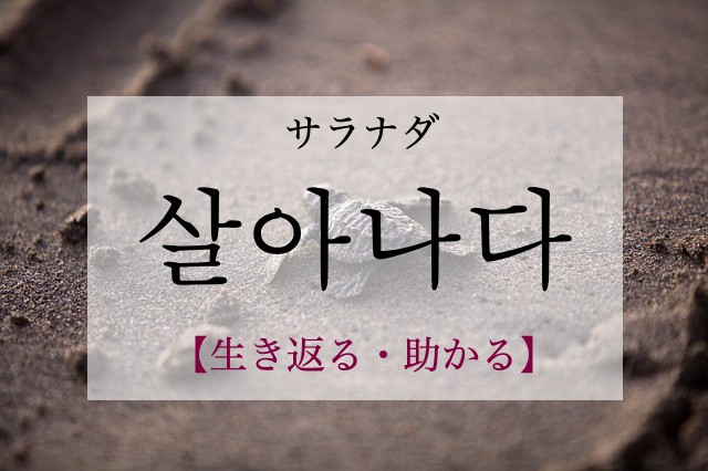 korean-survive-salanada