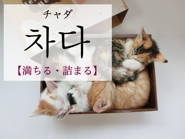 korean-fill-chada