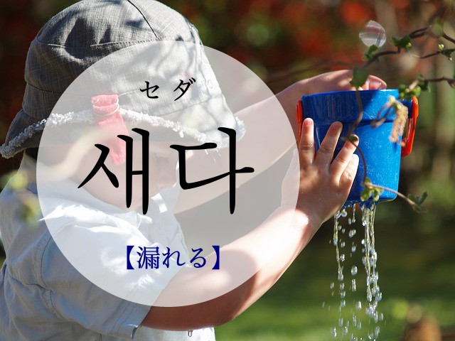 korean-leak-saeda
