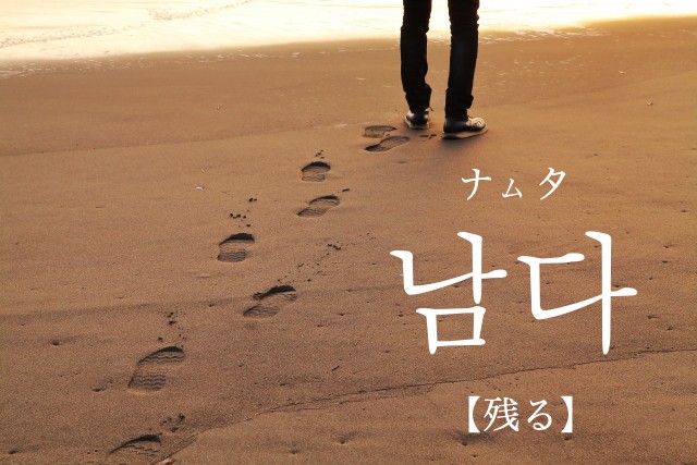 korean-left-namda