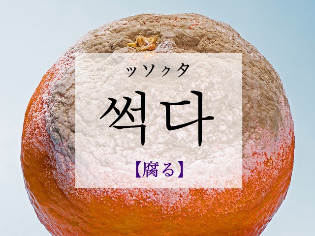 korean-rot-sseogda