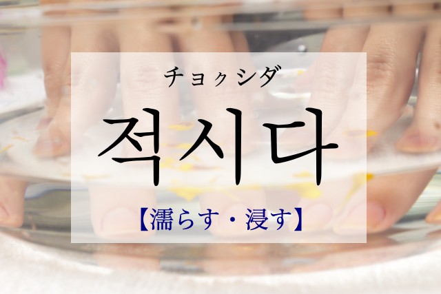 korean-soak-jeogsida