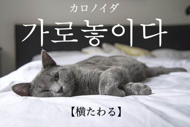 korean-lay-across-galonohida