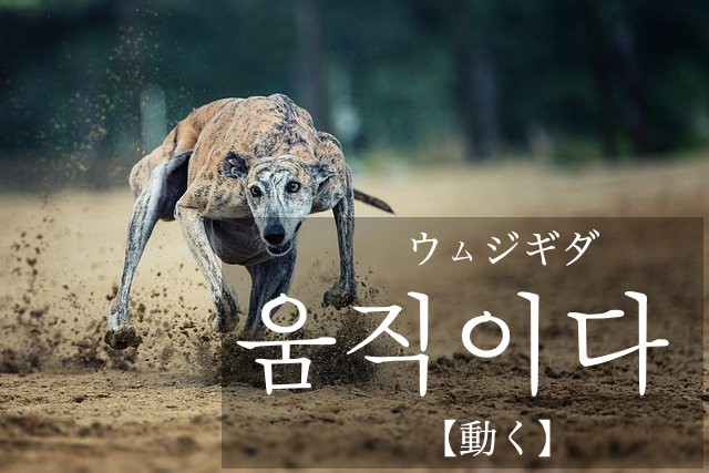 korean-move-umjigida