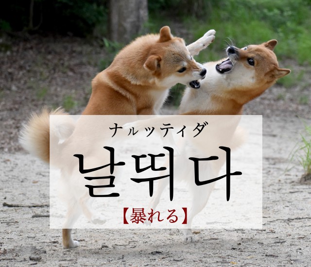 korean-rave-nalttwida
