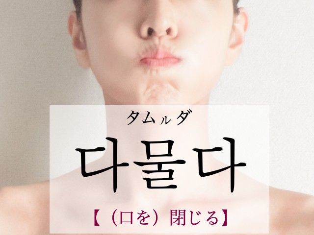 korean-shut-damulda