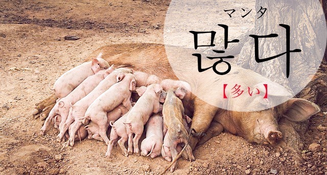 korean-many-manhda