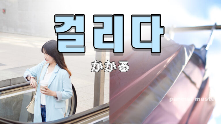 korean-catch-geollida