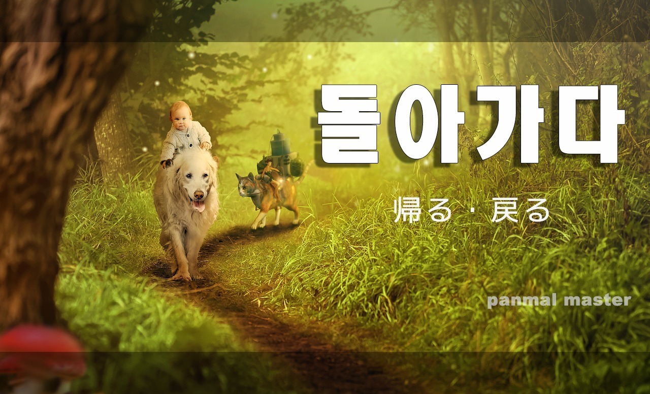 korean-return-dolagada