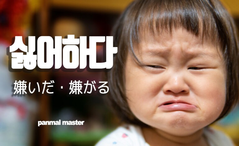 korean-dislike-silheohada