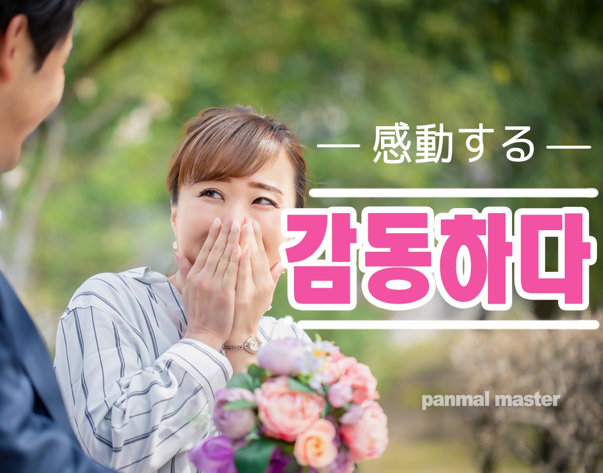 korean-impressed-gamdonghada