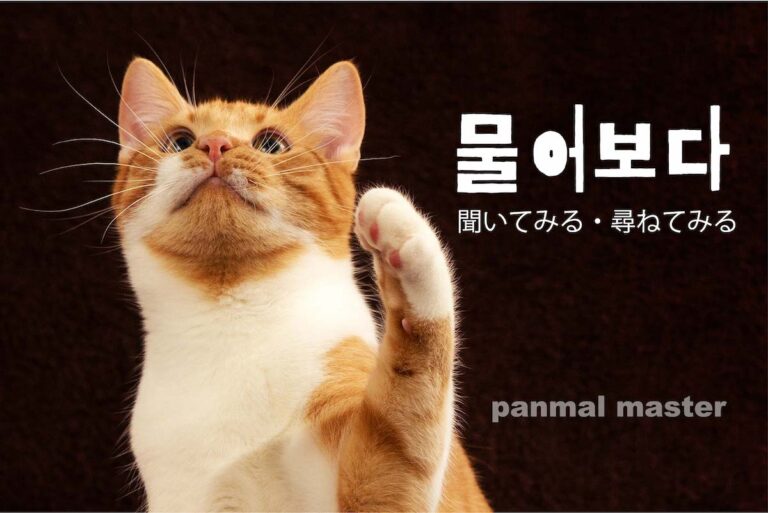 korean-ask-muleoboda