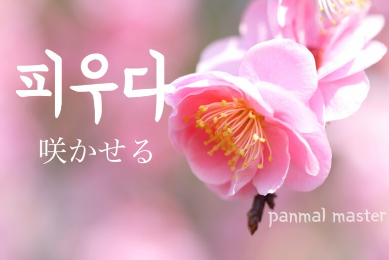 korean-make-open-piuda