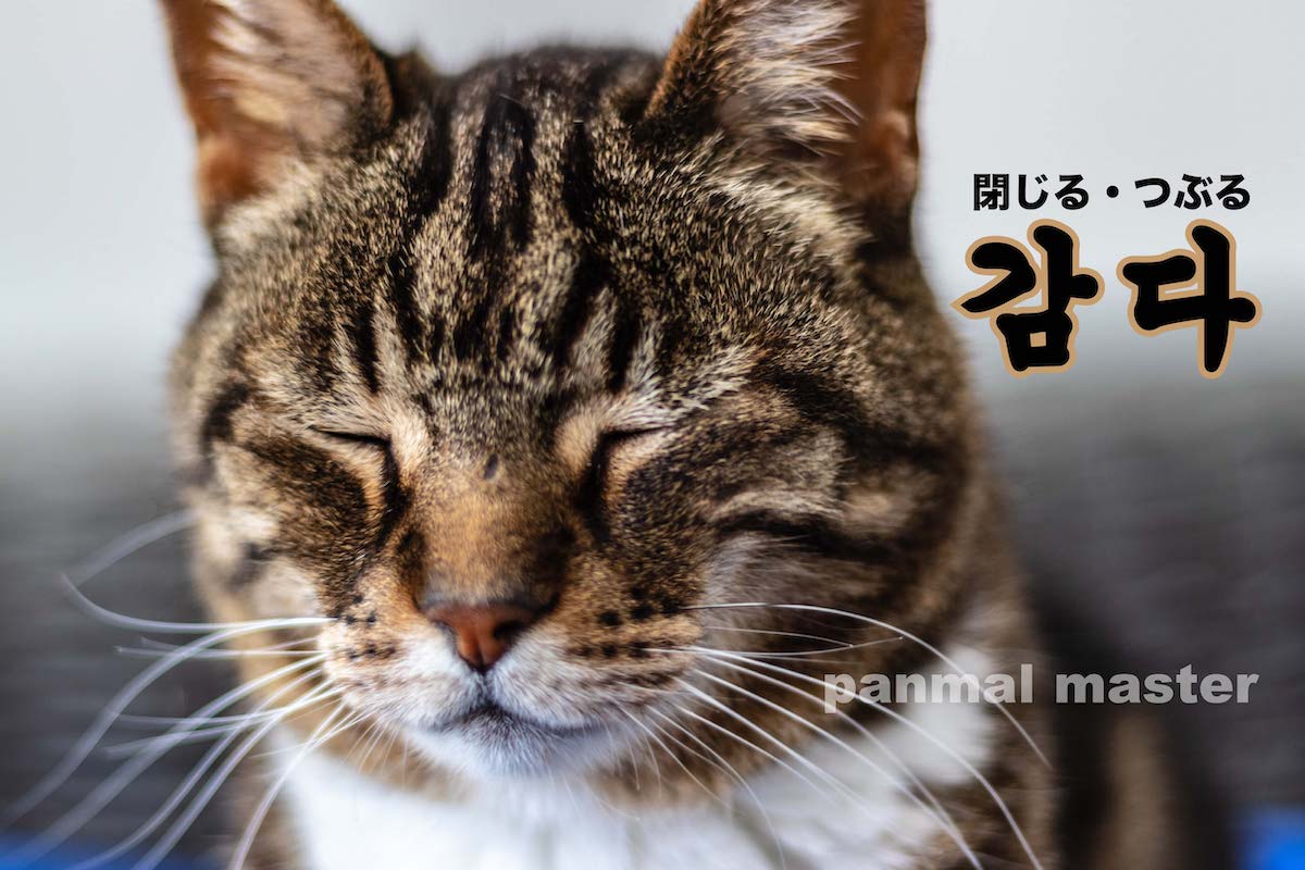 korean-close-wrap-gamda