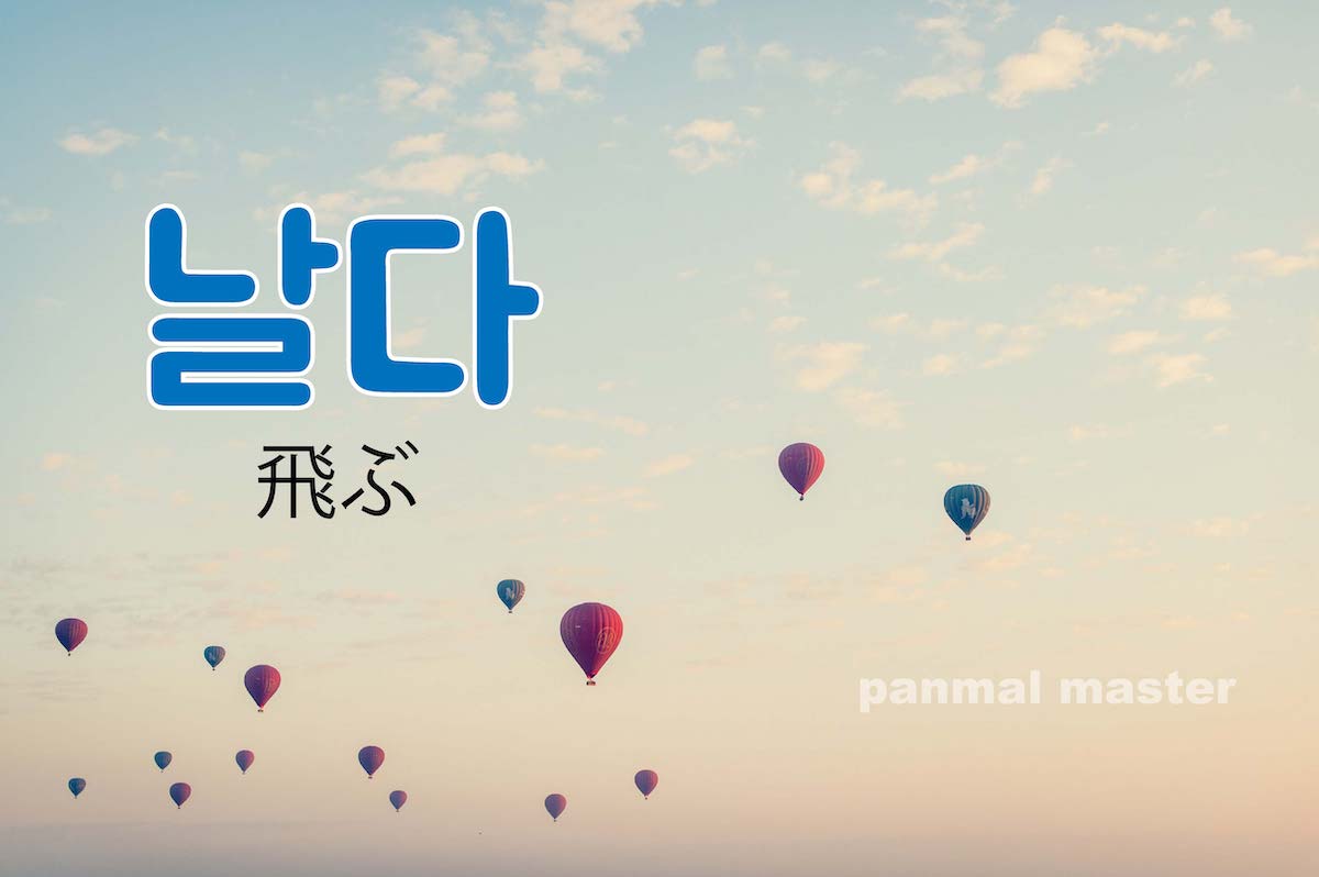 korean-fly-nalda